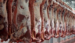 East Sussex: Right start, right carcase, right market